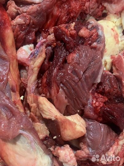 Говяжьи обрезь