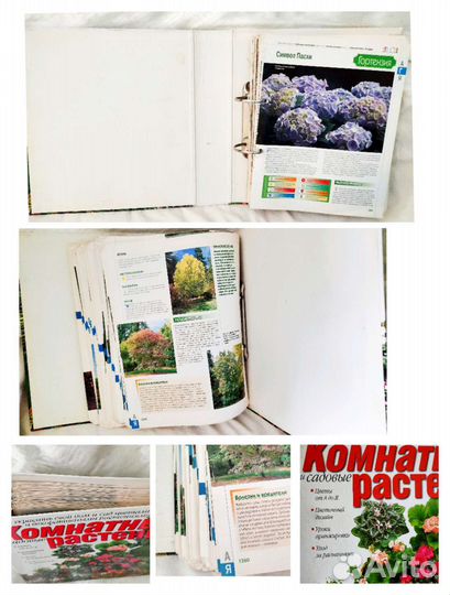 Книги комнатные садовые цветы овощные растения