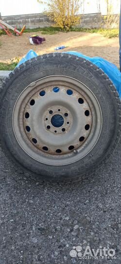 Nokian Tyres Nordman 5 175/65 R14