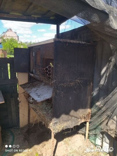 Клетка для кроликов с маточником