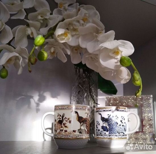 Кружки новые