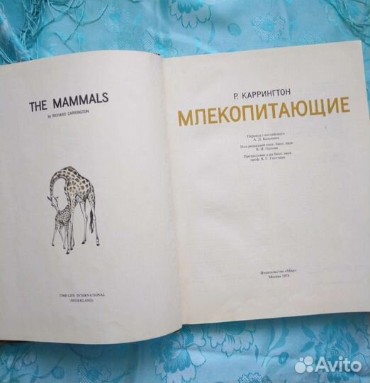 Млекопитающие (1974)