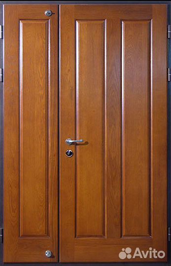 Железные двери двухстворчатые