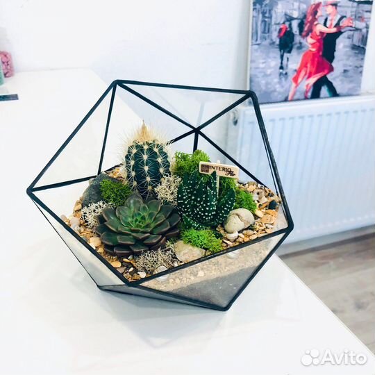 Флорариум с суккулентами