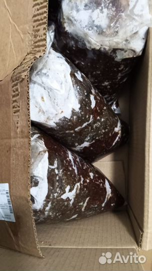 Рыбокостный фарш. Доставка