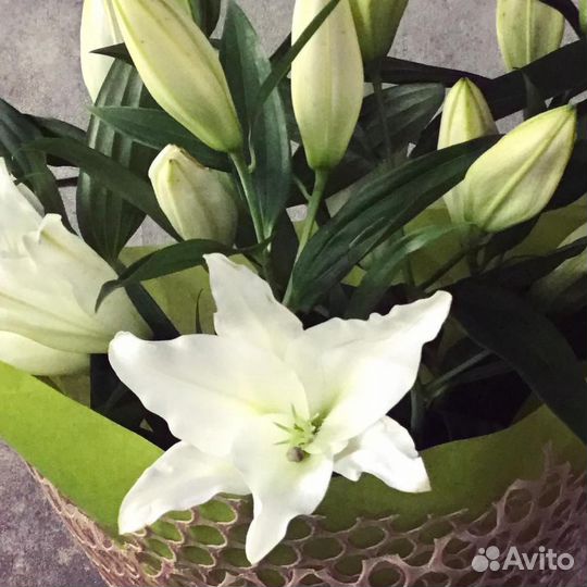 Лилии 5 9 11 15 лилий
