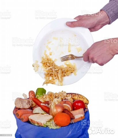 Пищевые отходы