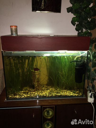Аквариум