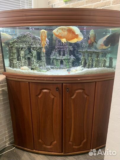 Аквариум с тумбой