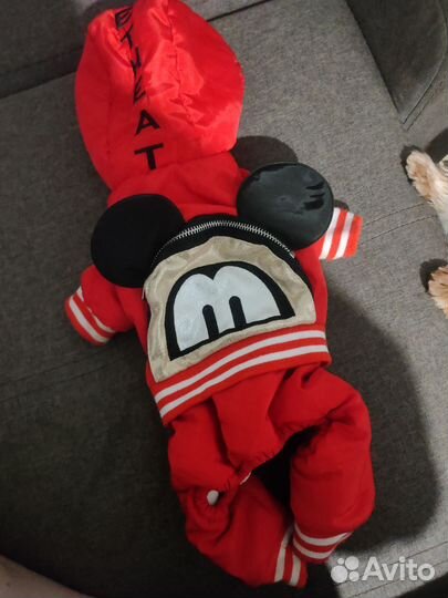 Комбинезон для маленькой собаки