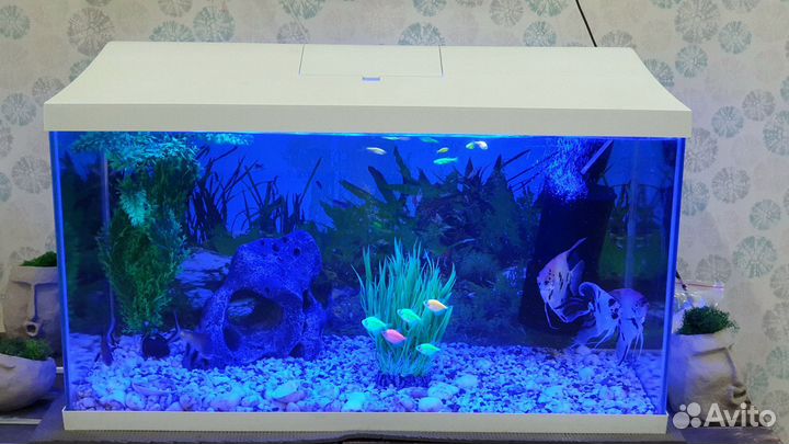 Аквариум aquael 105л