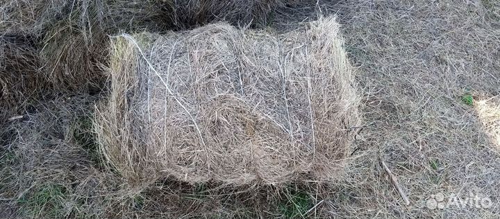 Рулоны сена