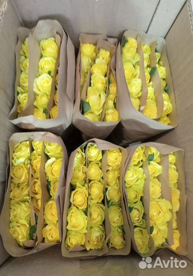 Цветы оптом и в розницу