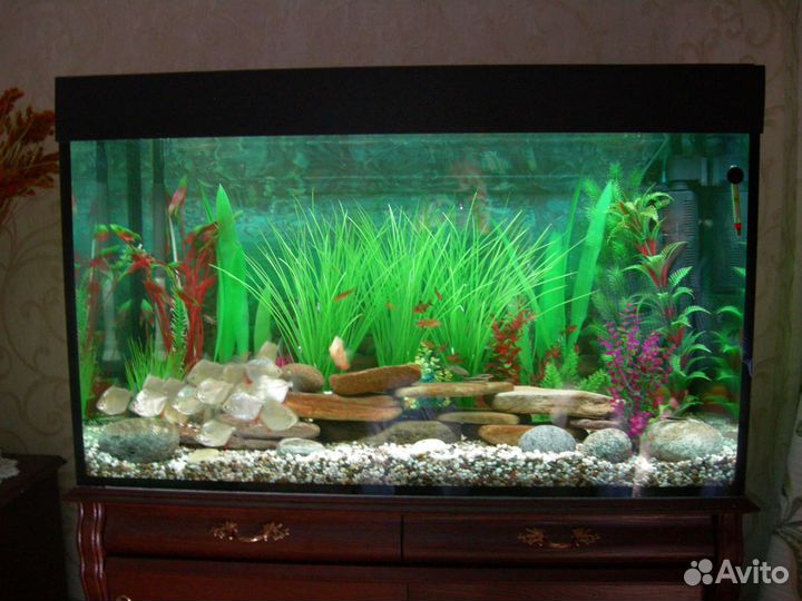 Установка и оформление,аквариумов и их систем