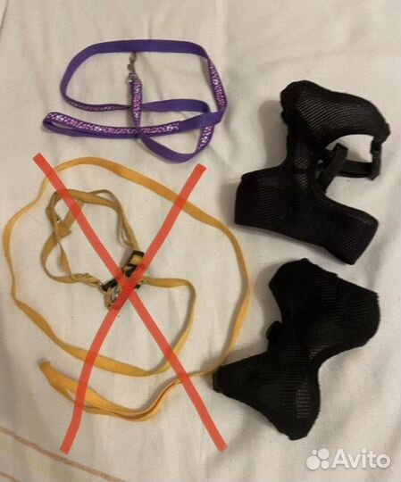 Шлейки для животных