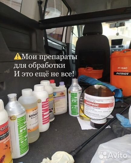 Уничтожение тараканов, клопов, блох. Дезинфекция