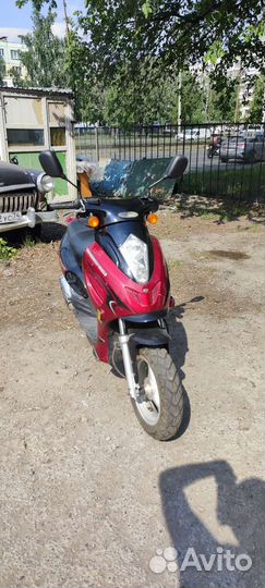 Racer sagita