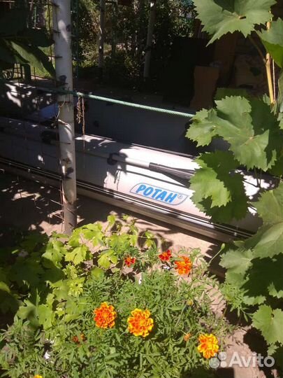 Надувная лодка