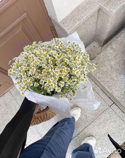 Букеты ромашек