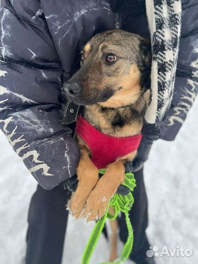 Загляните в эти глаза