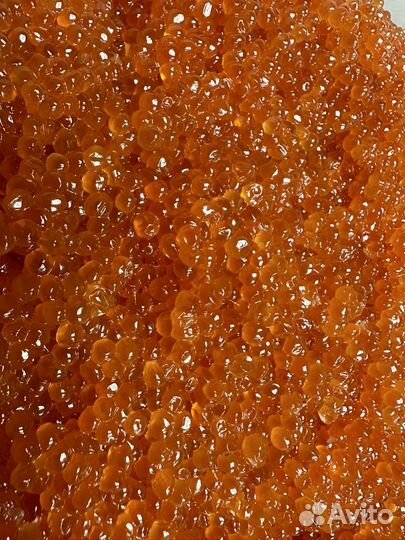 Икра горбуша Камчатка