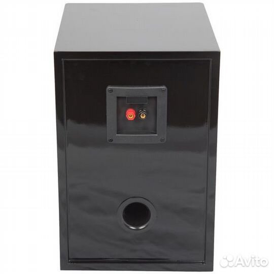 Полочная акустика MadBoy screamer-208B