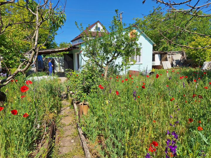 Дом 26 м² на участке 5,1 сот.