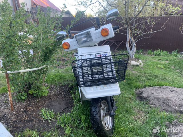 Мопед трехколесный Honda gyro X купить в Перми | Транспорт | Авито