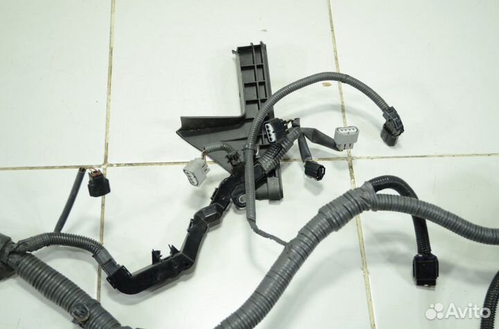 Проводка двигателя Lexus Is250 GSE25 2.5 4grfse