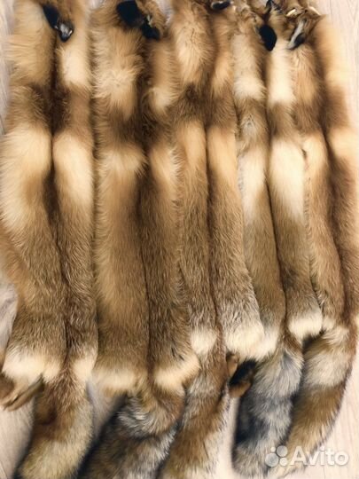 Шкуры рыжей лисы