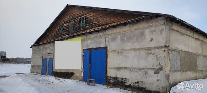 Производство грибов вешенка