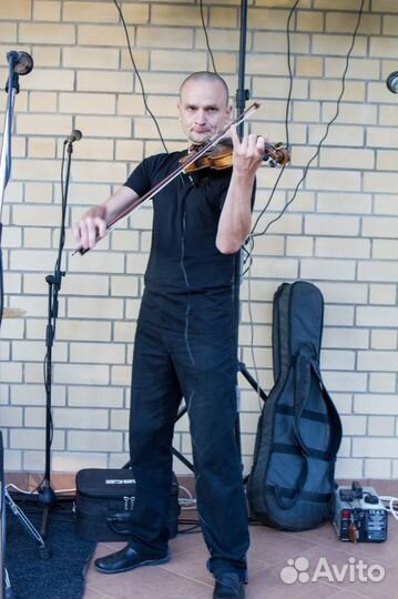 Живая скрипка