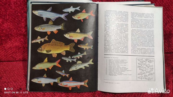 Книга Жизнь животных 2 тома СССР