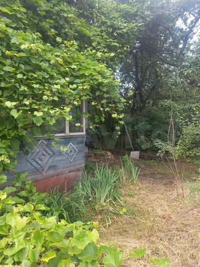 Дача 59,2 м² на участке 3,27 га