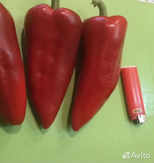 Семена сладкого перца (старинный сорт)