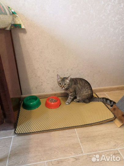 Коврик для кошки