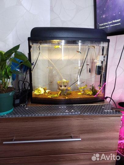 Аквариум 30 литров