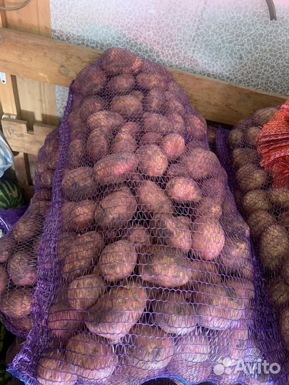 Картофель разных сортов (другие овощи фрукты)