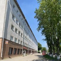 1-к. квартира, 50,4 м², 4/5 эт.