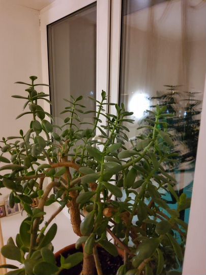 2-к. квартира, 42 м², 3/4 эт.