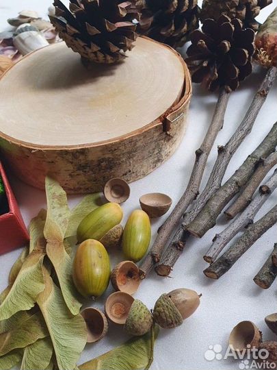 Природные материалы для поделок в сад