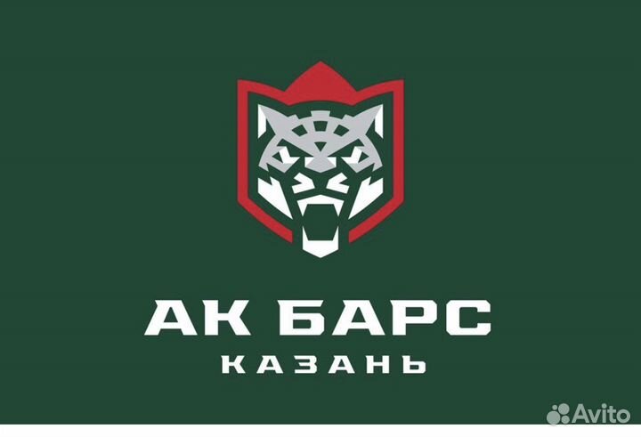 Ак Барс билеты
