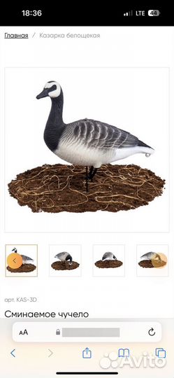 Чучела гусей Softplast 3D казарка (комплект 10шт)