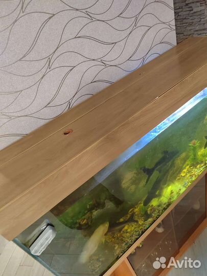 Аквариум