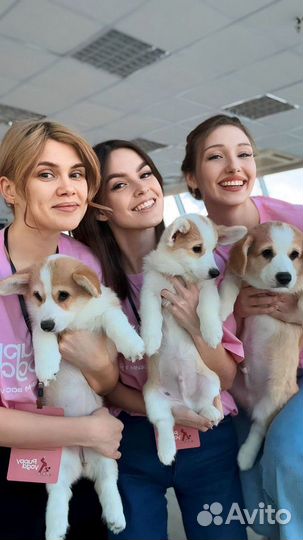 Сеть студий для занятий Йогой