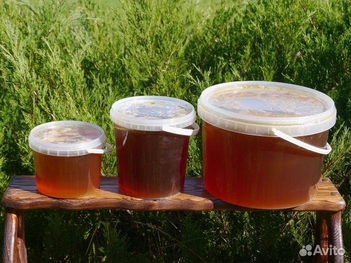Мед с собственной пасеки
