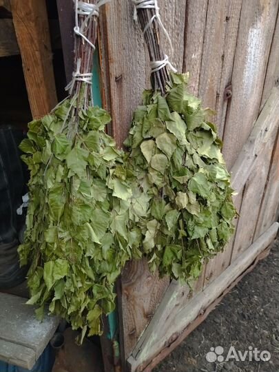 Веники для бани