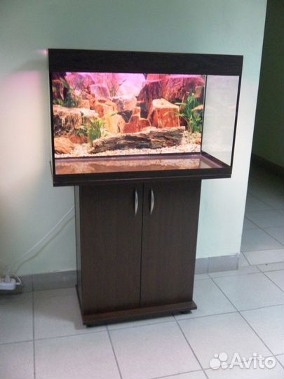 Аквариум 100 свет биофильтр фон подставка