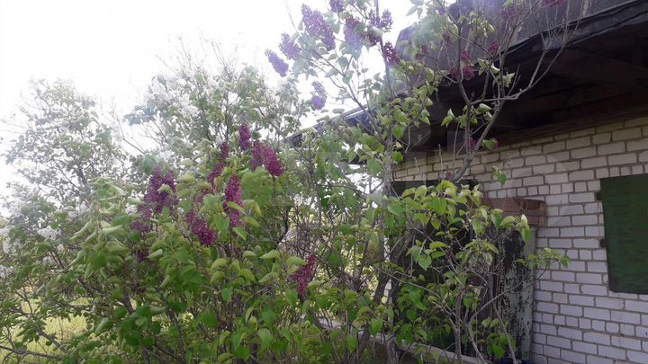 Дом 70 м² на участке 6 сот.