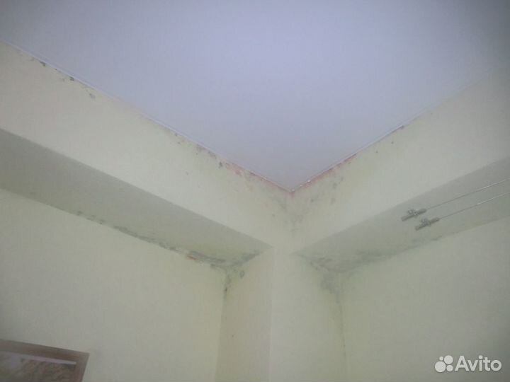 Приемка квартир в новостройках